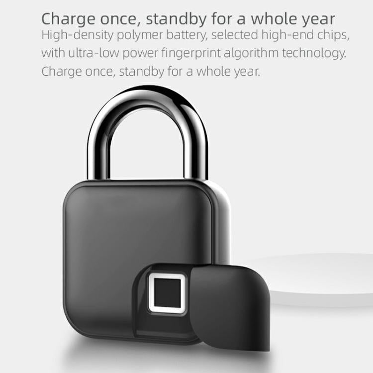 Anytek L3+ Graffiti Smart Fingerprint Padlock Waterproof Electronic Lock, L3+