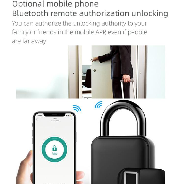 Anytek L3+ Graffiti Smart Fingerprint Padlock Waterproof Electronic Lock, L3+