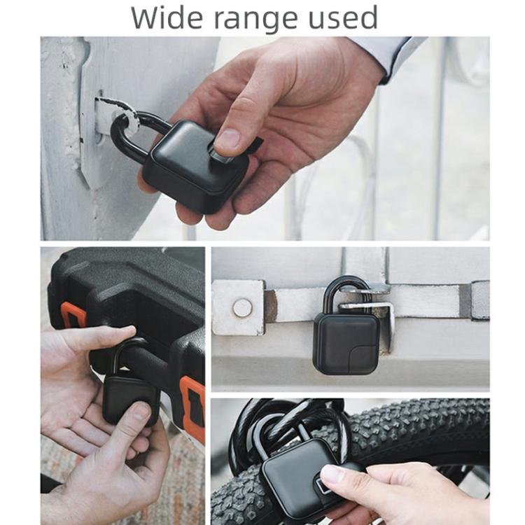 Anytek L3+ Graffiti Smart Fingerprint Padlock Waterproof Electronic Lock, L3+