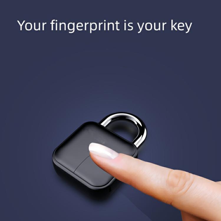 Anytek L3+ Graffiti Smart Fingerprint Padlock Waterproof Electronic Lock, L3+