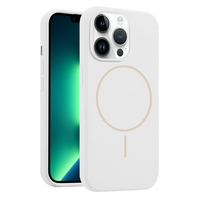 Liquid Silicone MagSafe Phone Case, For iPhone 13 Pro Max, For iPhone 13 Pro