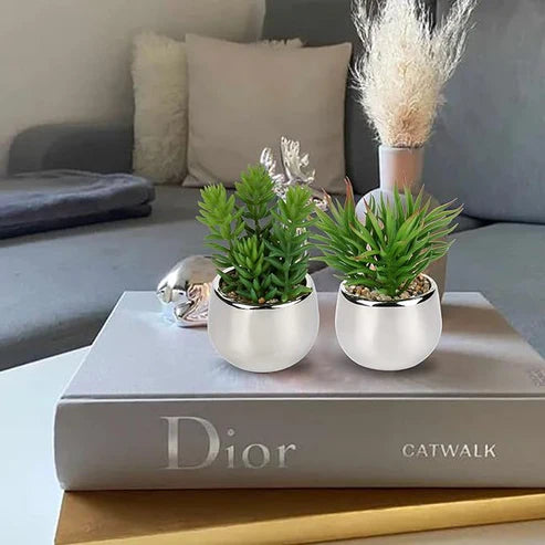 Artificial Silver Plant Cactus Word Porcelain Vase (Rose, Black)